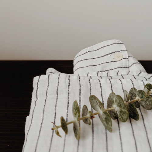 Eucalyptus Silver Dollar