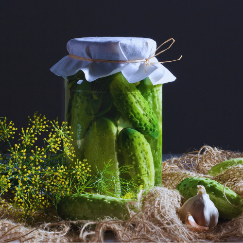 Concombre à cornichons Alibi