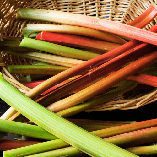 Rhubarbe Glaskins
