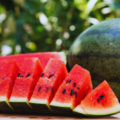 Melon d'eau California Sweet Bush