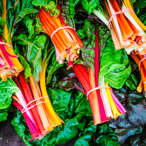 Bette à carde Célébration