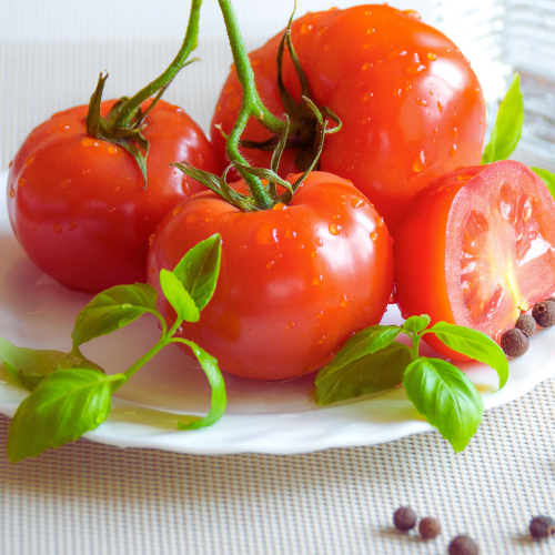 Tomate Celebrity plus