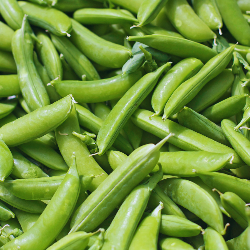 Pois Super Sugar Anne Snap