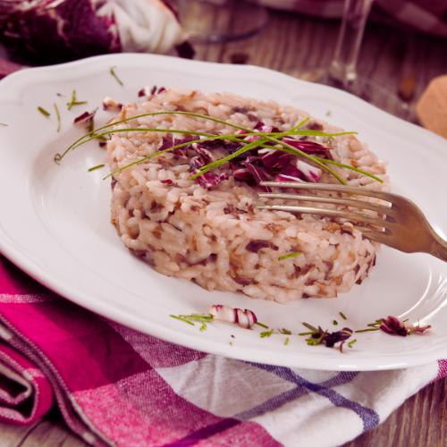 Radicchio hybride Fiero