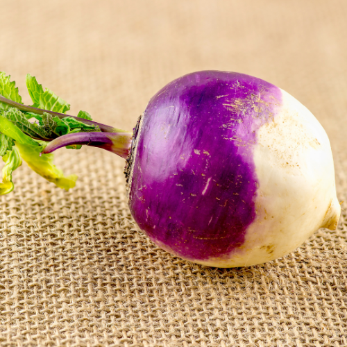 Navet, Purple Top White Globe