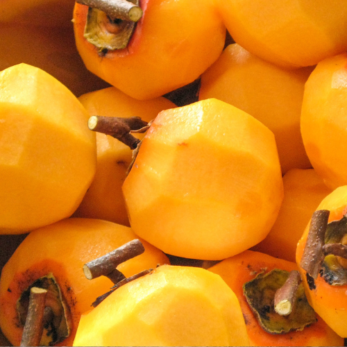 Plaqueminier du Japon