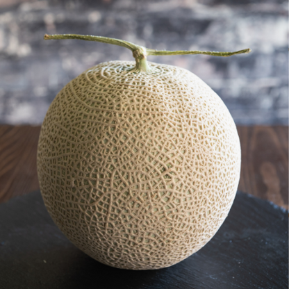 Melon cantaloup Charlynne